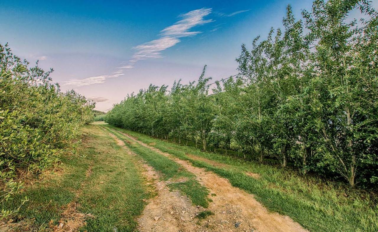 Вілла Oudewerfskloof Olive Farm Стілбай Екстер'єр фото