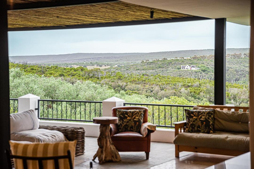 Вілла Oudewerfskloof Olive Farm Стілбай Екстер'єр фото