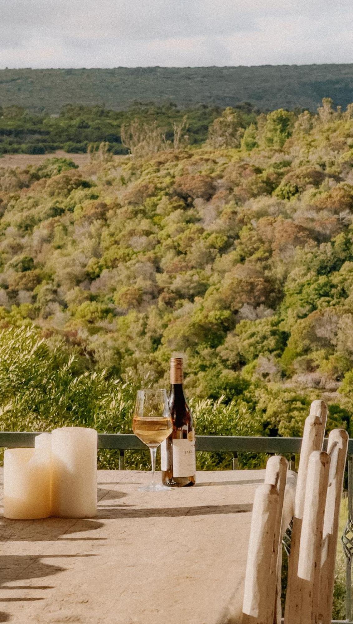 Вілла Oudewerfskloof Olive Farm Стілбай Екстер'єр фото